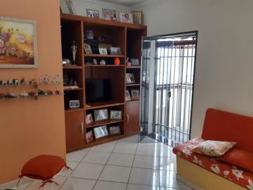 Comprar Casa / Padrão em Cedral apenas R$ 1.300.000,00 - Foto 23