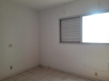 Alugar Apartamento / Padrão em São José do Rio Preto R$ 800,00 - Foto 10