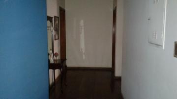 Comprar Casa / Padrão em São José do Rio Preto R$ 2.500.000,00 - Foto 34