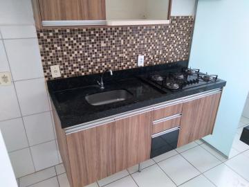 Alugar Apartamento / Padrão em São José do Rio Preto apenas R$ 800,00 - Foto 10