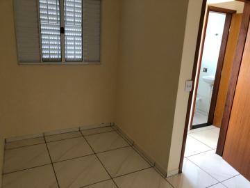 Alugar Apartamento / Padrão em Bady Bassitt R$ 750,00 - Foto 5