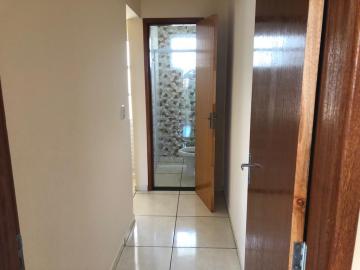 Alugar Apartamento / Padrão em Bady Bassitt apenas R$ 750,00 - Foto 4