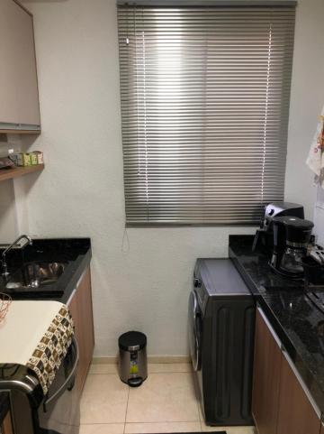 Alugar Apartamento / Padrão em São José do Rio Preto R$ 1.100,00 - Foto 9