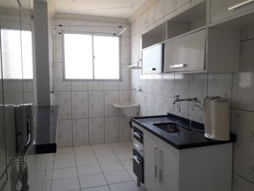 Comprar Apartamento / Padrão em São José do Rio Preto - Foto 6