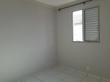 Comprar Apartamento / Padrão em São José do Rio Preto - Foto 7