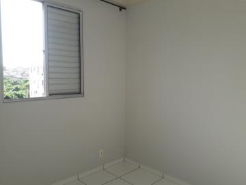 Comprar Apartamento / Padrão em São José do Rio Preto - Foto 8