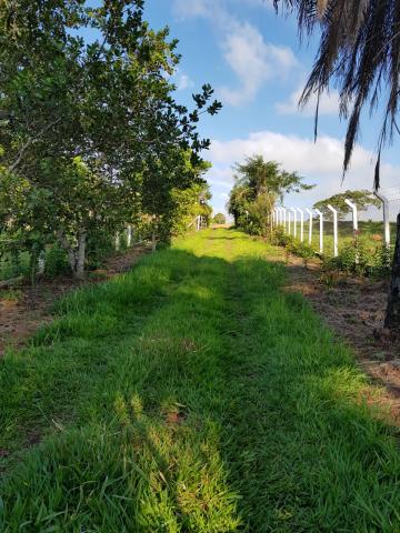 Comprar Rural / Sítio em Bady Bassitt R$ 2.050.000,00 - Foto 12