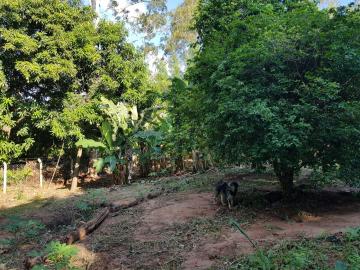 Comprar Rural / Sítio em Bady Bassitt R$ 2.050.000,00 - Foto 27