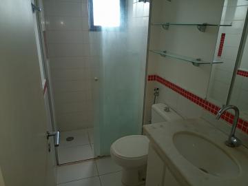 Comprar Apartamento / Padrão em São José do Rio Preto - Foto 10