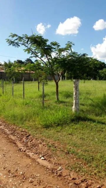 Comprar Rural / Sítio em São José do Rio Preto apenas R$ 1.500.000,00 - Foto 21