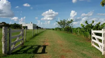 Comprar Rural / Sítio em São José do Rio Preto apenas R$ 1.500.000,00 - Foto 25