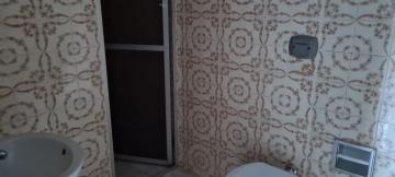 Alugar Comercial / Casa Comercial em São José do Rio Preto R$ 3.000,00 - Foto 19