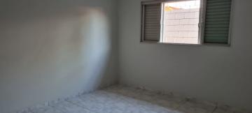 Alugar Comercial / Casa Comercial em São José do Rio Preto R$ 3.000,00 - Foto 12