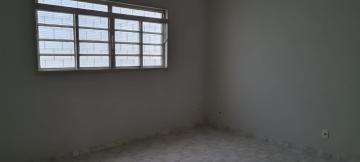 Alugar Comercial / Casa Comercial em São José do Rio Preto R$ 3.000,00 - Foto 7