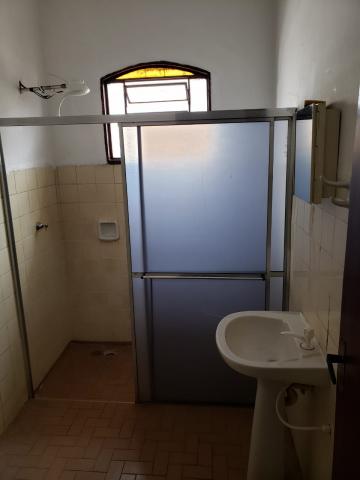 Alugar Casa / Padrão em São José do Rio Preto apenas R$ 800,00 - Foto 5