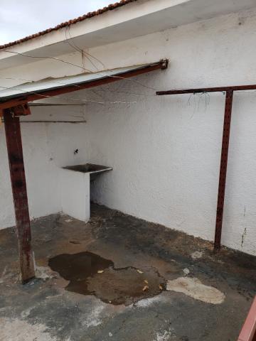 Alugar Casa / Padrão em São José do Rio Preto apenas R$ 800,00 - Foto 11