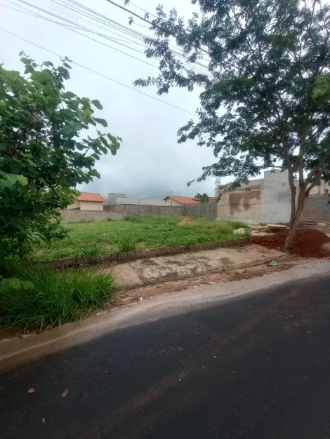 Comprar Terreno / Padrão em São José do Rio Preto apenas R$ 130.000,00 - Foto 3