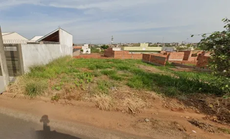 Terreno / Padrão em Bady Bassitt 