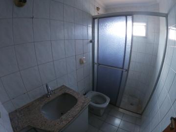 Alugar Apartamento / Padrão em São José do Rio Preto R$ 800,00 - Foto 21