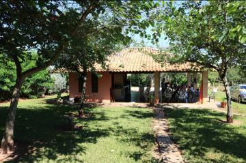 Alugar Rural / Rancho em Adolfo apenas R$ 3.500,00 - Foto 3