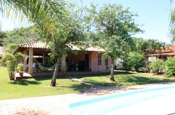 Alugar Rural / Rancho em Adolfo R$ 3.500,00 - Foto 4