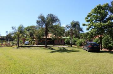 Alugar Rural / Rancho em Adolfo R$ 3.500,00 - Foto 5