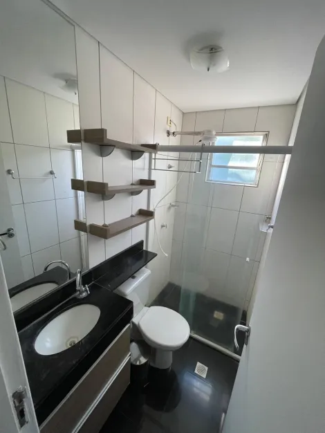 Alugar Apartamento / Padrão em São José do Rio Preto R$ 2.400,00 - Foto 8