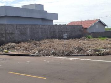 Terreno / Padrão em São José do Rio Preto 