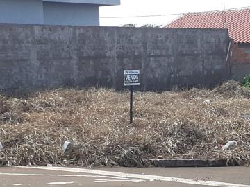 Comprar Terreno / Padrão em São José do Rio Preto apenas R$ 80.000,00 - Foto 4