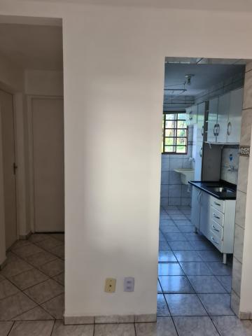 Alugar Apartamento / Padrão em São José do Rio Preto apenas R$ 750,00 - Foto 11