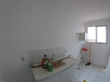 Alugar Apartamento / Padrão em São José do Rio Preto apenas R$ 450,00 - Foto 4