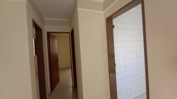 Alugar Apartamento / Padrão em São José do Rio Preto apenas R$ 1.000,00 - Foto 10