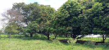 Alugar Rural / Chácara em Ruilândia R$ 3.500,00 - Foto 19