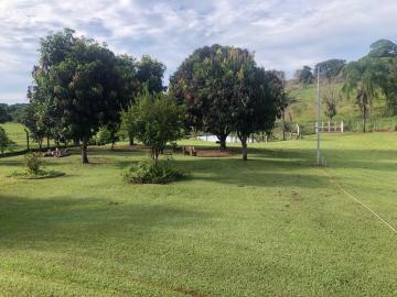 Alugar Rural / Chácara em Ruilândia R$ 3.500,00 - Foto 22