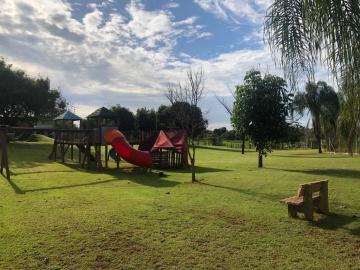 Alugar Rural / Chácara em Ruilândia apenas R$ 3.500,00 - Foto 25