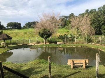 Alugar Rural / Chácara em Ruilândia apenas R$ 3.500,00 - Foto 30