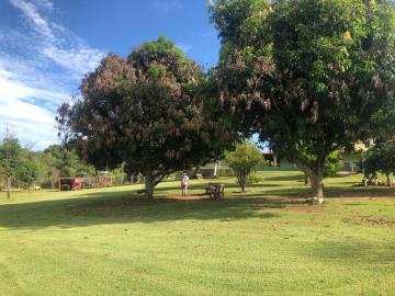 Alugar Rural / Chácara em Ruilândia R$ 3.500,00 - Foto 31