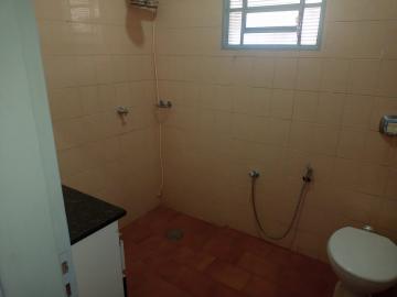 Alugar Casa / Padrão em São José do Rio Preto apenas R$ 1.300,00 - Foto 4