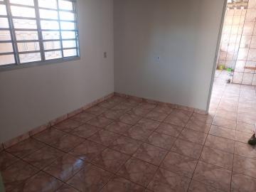 Alugar Casa / Padrão em São José do Rio Preto apenas R$ 1.300,00 - Foto 5