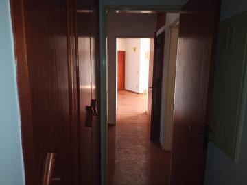 Alugar Apartamento / Padrão em São José do Rio Preto R$ 2.000,00 - Foto 14