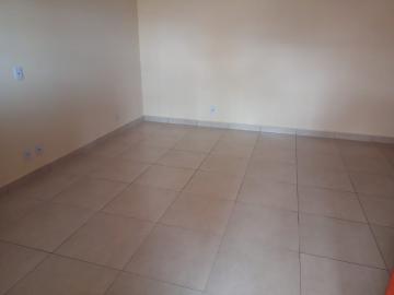 Alugar Casa / Padrão em São José do Rio Preto R$ 1.500,00 - Foto 5