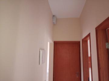 Alugar Casa / Padrão em São José do Rio Preto apenas R$ 1.500,00 - Foto 13