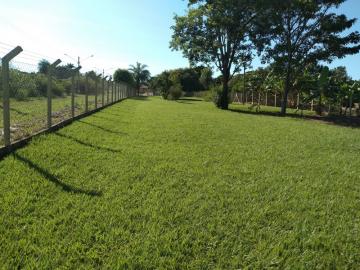 Comprar Rural / Chácara em Adolfo apenas R$ 450.000,00 - Foto 8