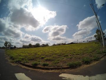 Comprar Terreno / Padrão em São José do Rio Preto R$ 1.280.000,00 - Foto 2