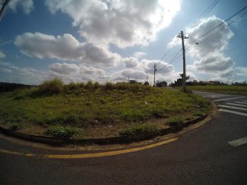 Comprar Terreno / Padrão em São José do Rio Preto apenas R$ 745.000,00 - Foto 3