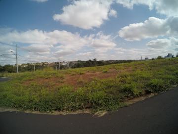 Comprar Terreno / Padrão em São José do Rio Preto apenas R$ 745.000,00 - Foto 4