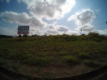 Terreno / Padrão em São José do Rio Preto 