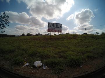 Terreno / Padrão em São José do Rio Preto 