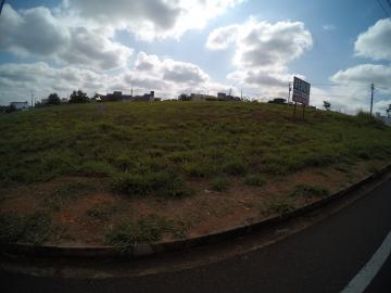 Terreno / Padrão em São José do Rio Preto 