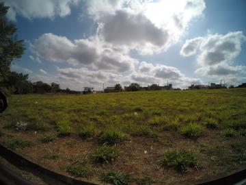 Terreno / Padrão em São José do Rio Preto 